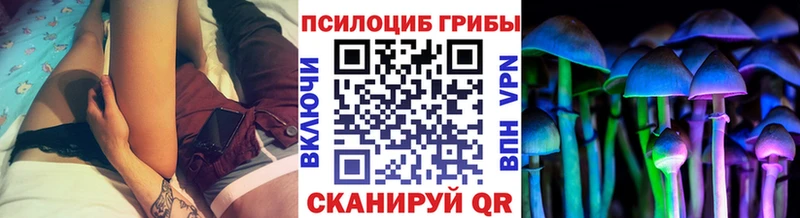Галлюциногенные грибы MAGIC MUSHROOMS Камышлов