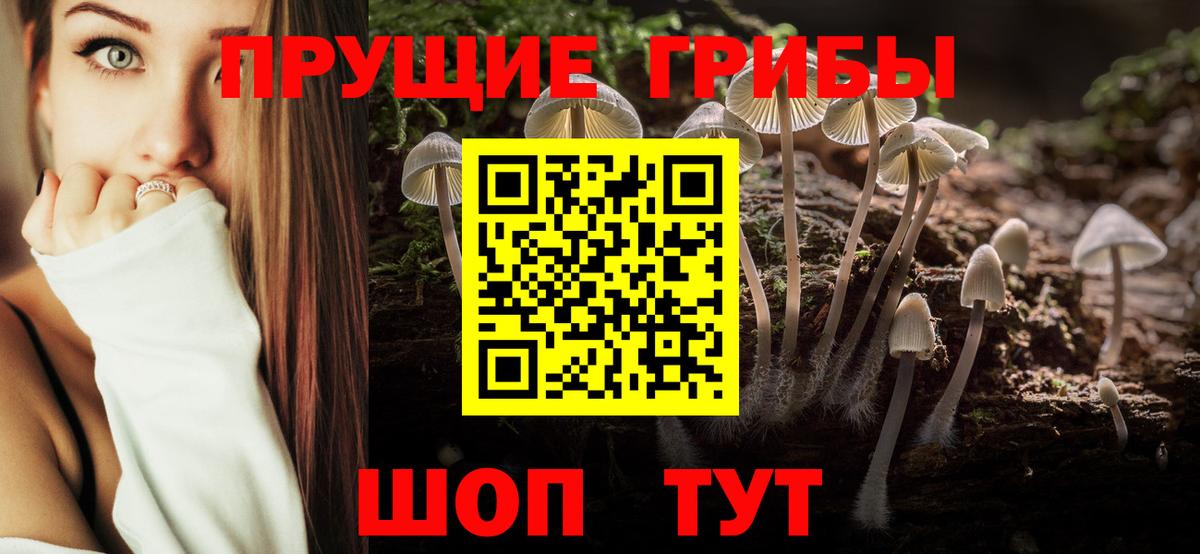 Камышлов  Псилоцибиновые грибы мицелий  Вход с VPN 