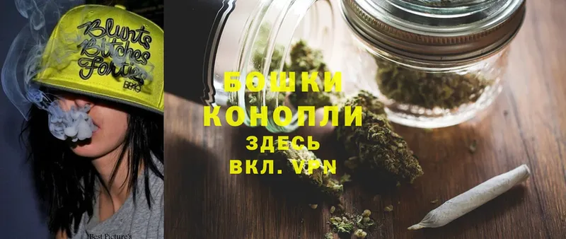 закладки  Камышлов  Конопля White Widow 